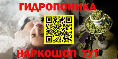 гашик Гусь-Хрустальный