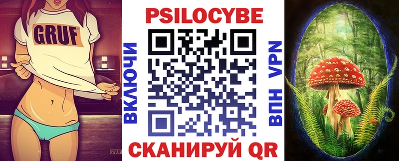 наркошоп mega ONION Галлюциногенные грибы Psilocybine cubensis Камышлов