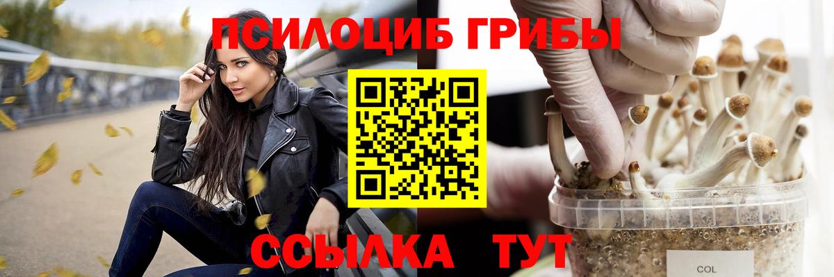 Псилоцибиновые грибы GOLDEN TEACHER Камышлов