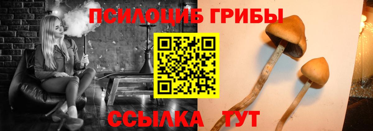 Камышлов  Псилоцибиновые грибы Magic Shrooms  Вход с VPN 